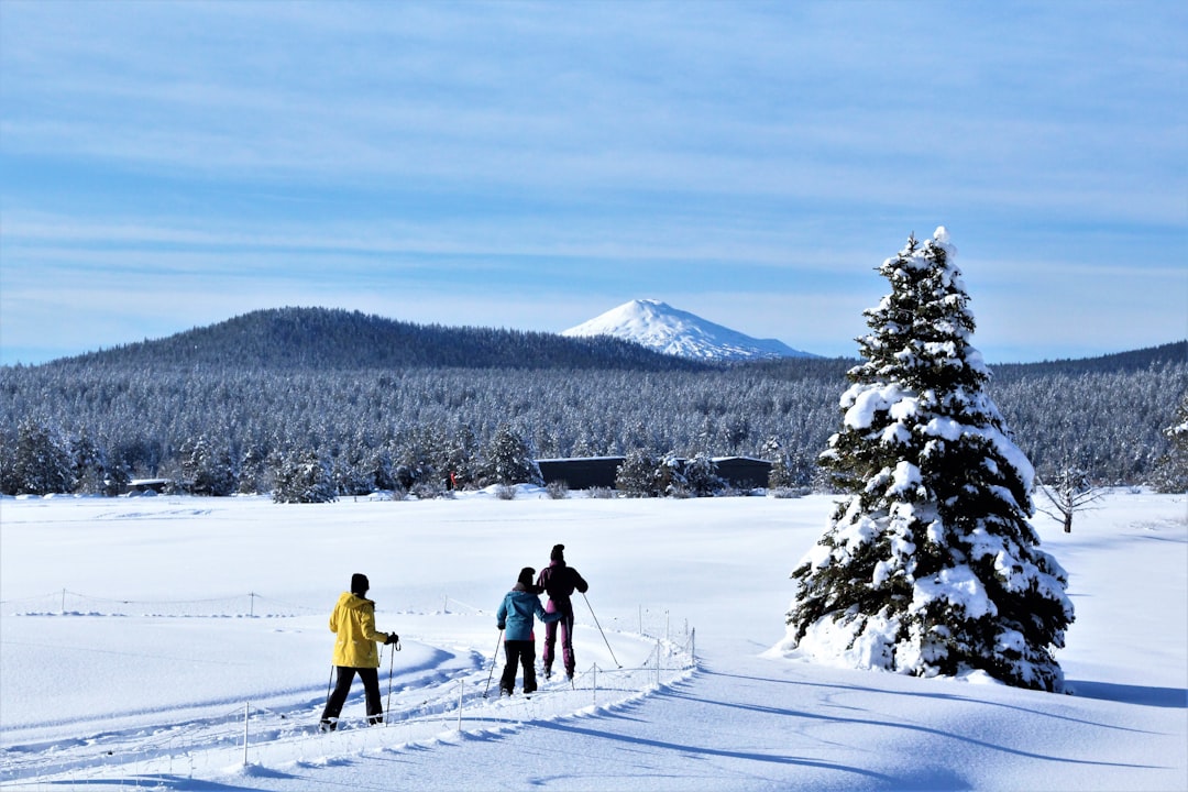 Photo cross-country skiing